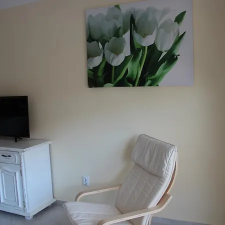 Apartment Karchevi *