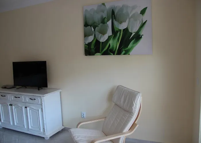 Apartment Karchevi *